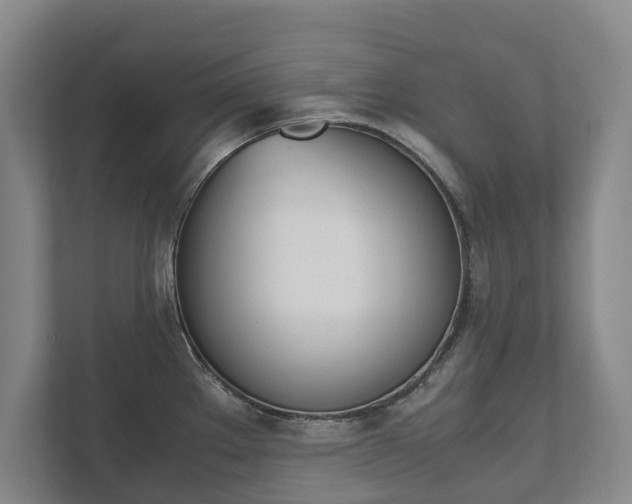 X0000111841289200907231032