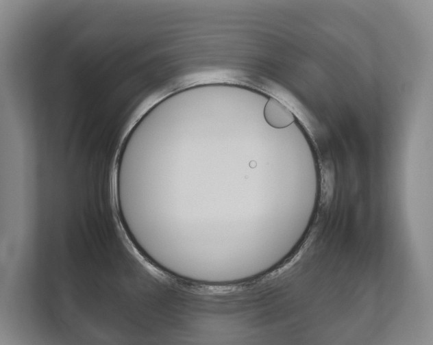 X0000111841290200907231032