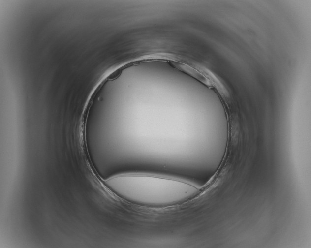 X0000111841292200907231031