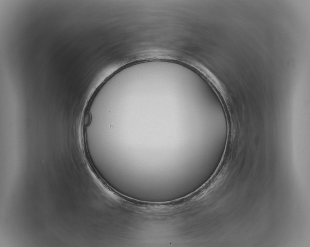 X0000111841293200907231031