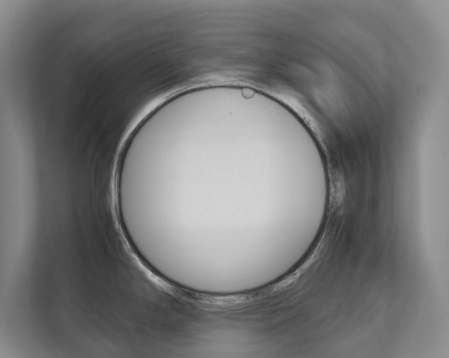 X0000111841294200907231031