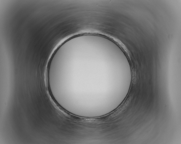 X0000111841295200907231031