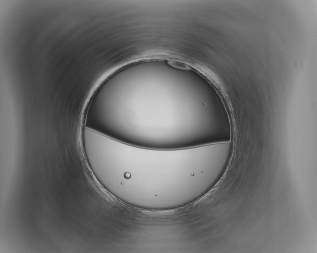 X0000111841296200907231031
