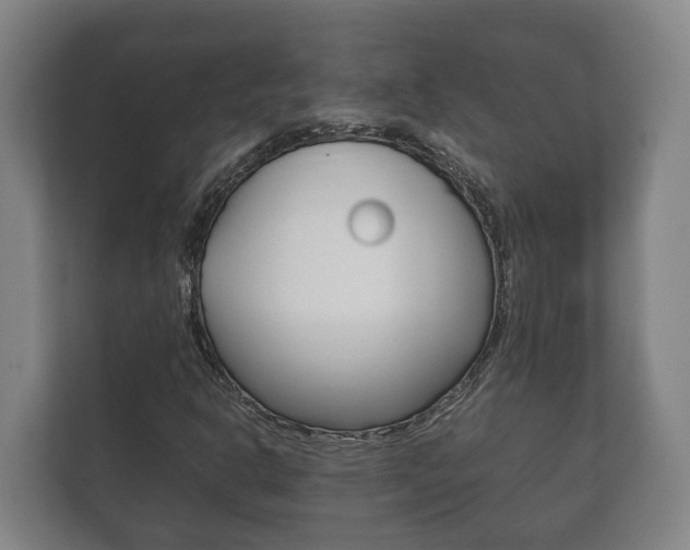 X0000111841302200907231031