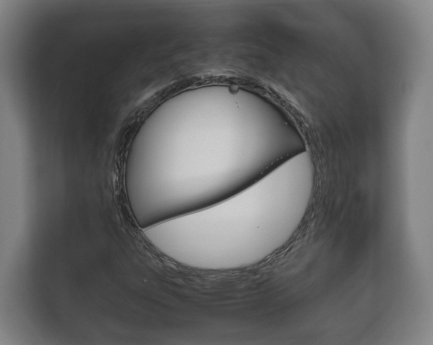 X0000111841303200907231031