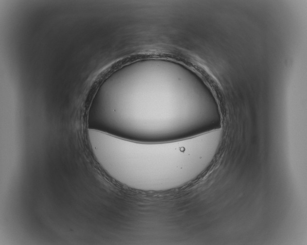 X0000111841304200907231031