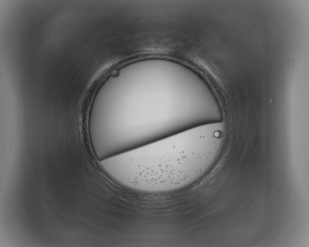 X0000111841307200907231031