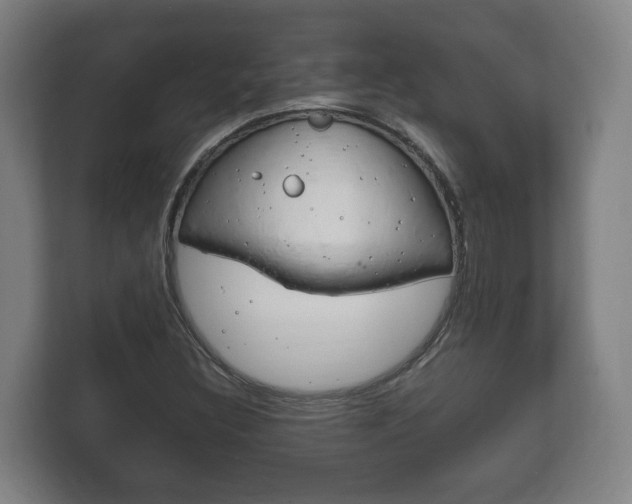 X0000111841308200907231031