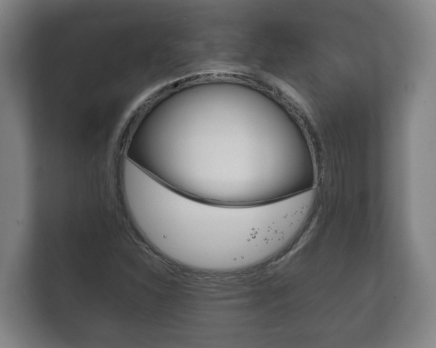 X0000111841310200907231031