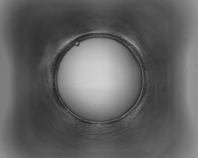 X0000111841311200907231031