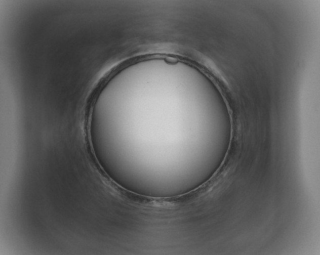 X0000111841312200907231031