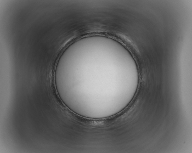X0000111841313200907231031