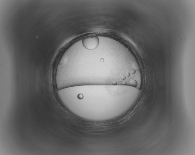 X0000111841315200907231031