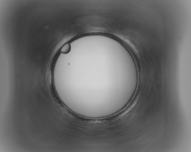 X0000111841317200907231031