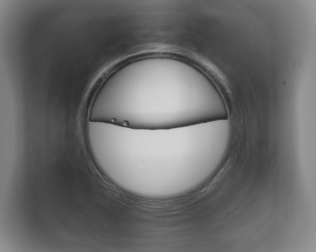 X0000111841318200907231031