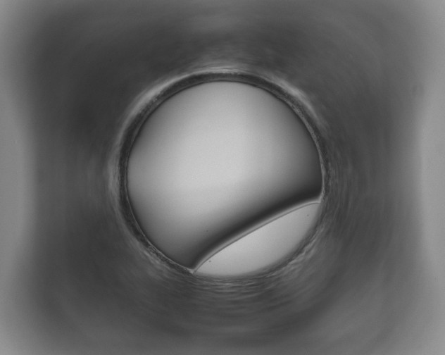 X0000111841319200907231031
