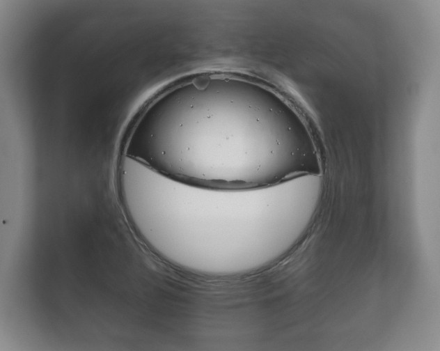 X0000111841320200907231031