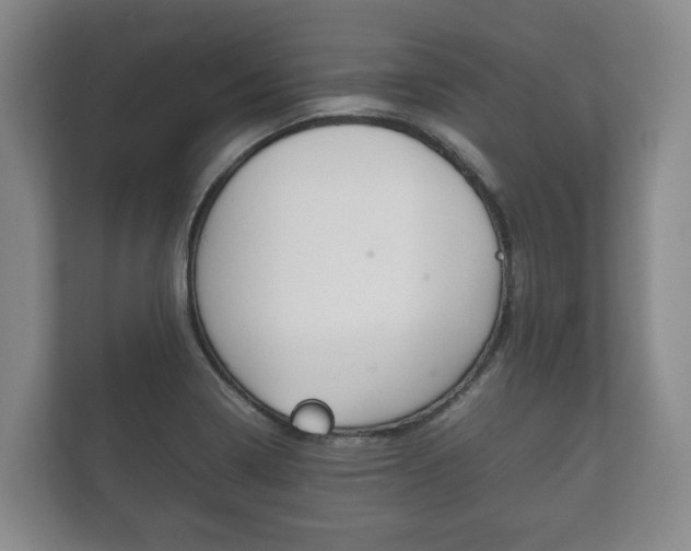 X0000111841322200907231031