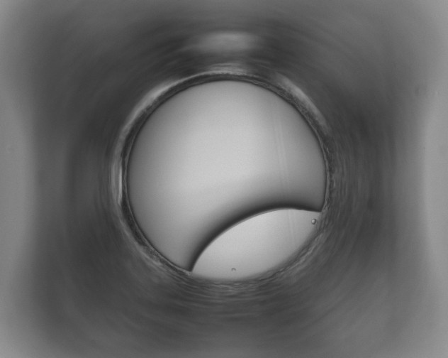 X0000111841323200907231031