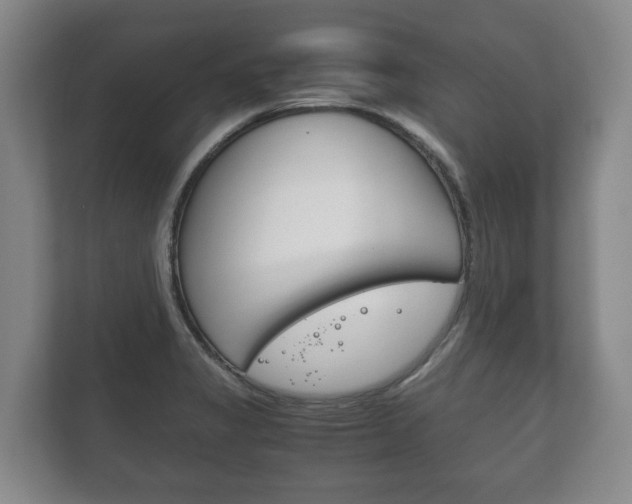 X0000111841325200907231031