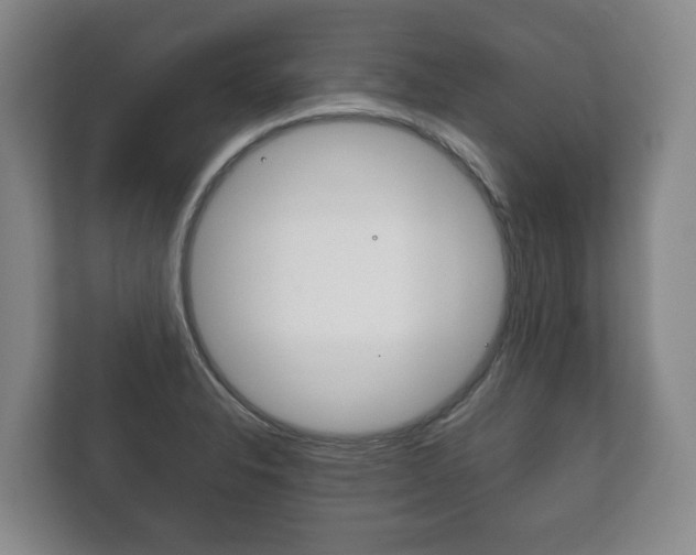 X0000111841326200907231031