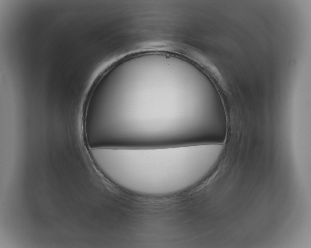 X0000111841328200907231031