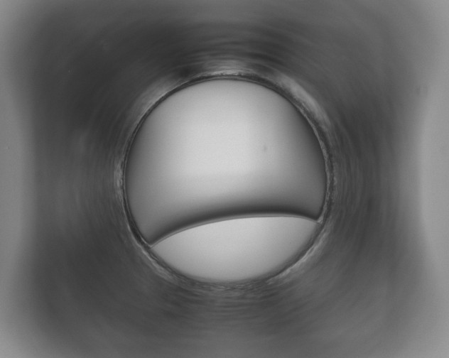 X0000111841329200907231031