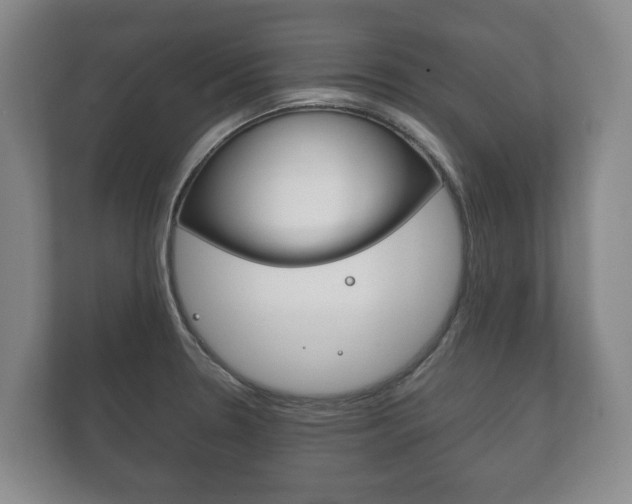 X0000111841330200907231031