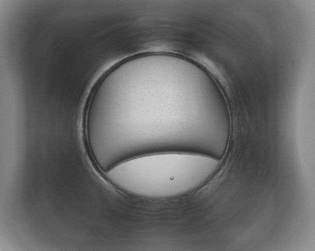 X0000111841331200907231031