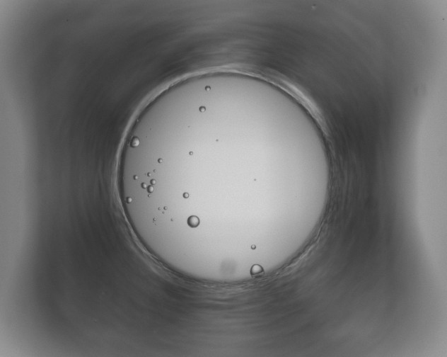 X0000111841332200907231031