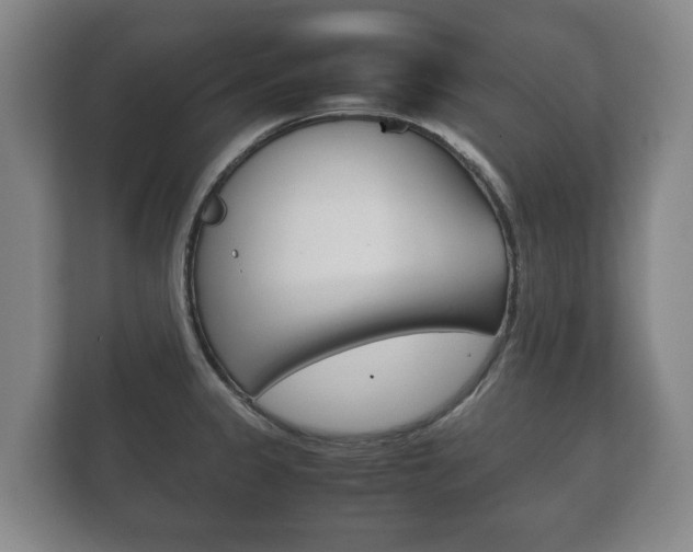X0000111841333200907231031
