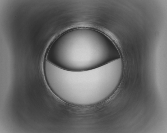 X0000111841334200907231031