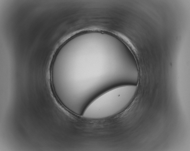 X0000111841335200907231031