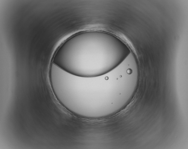 X0000111841336200907231031