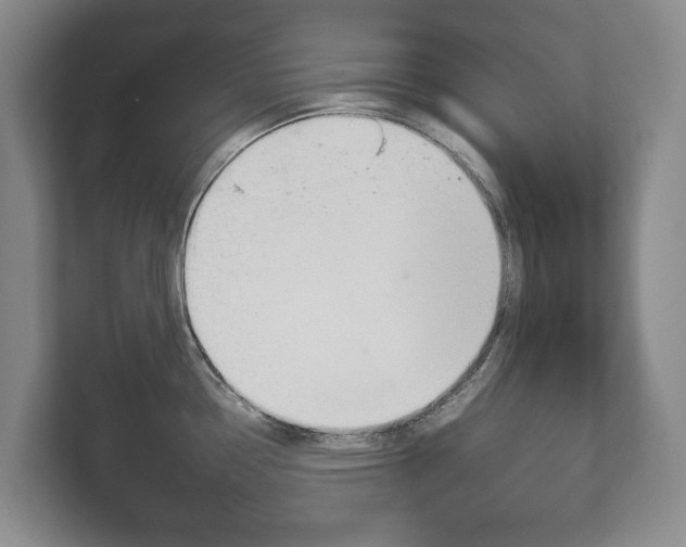 X0000111841338200907231031