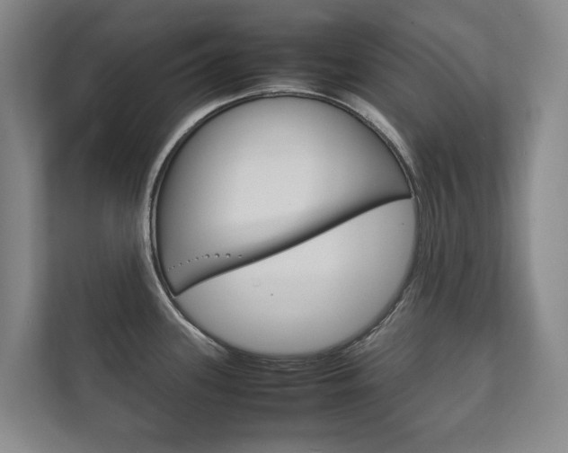 X0000111841339200907231031