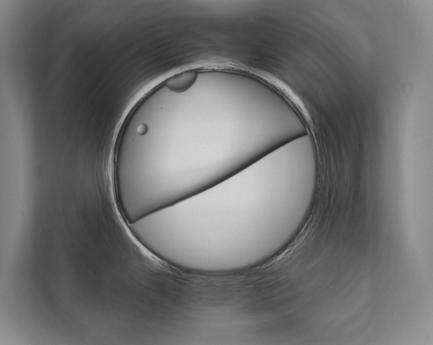 X0000111841343200907231031