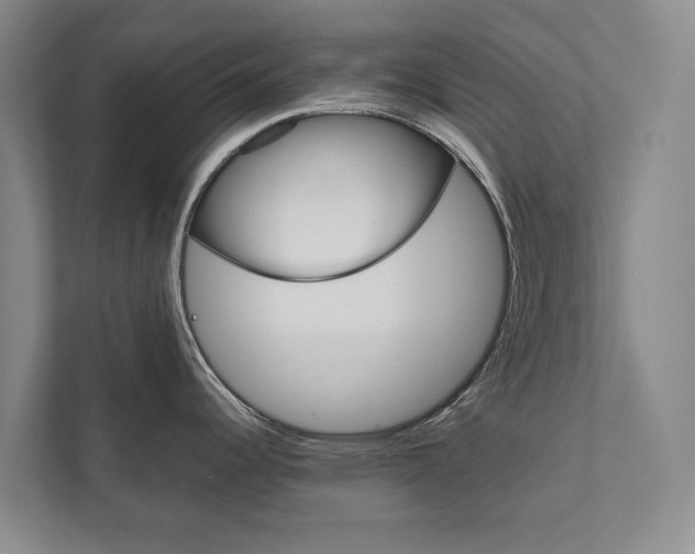 X0000111841344200907231031