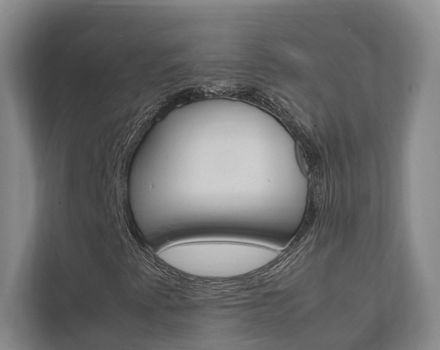 X0000111841345200907231031
