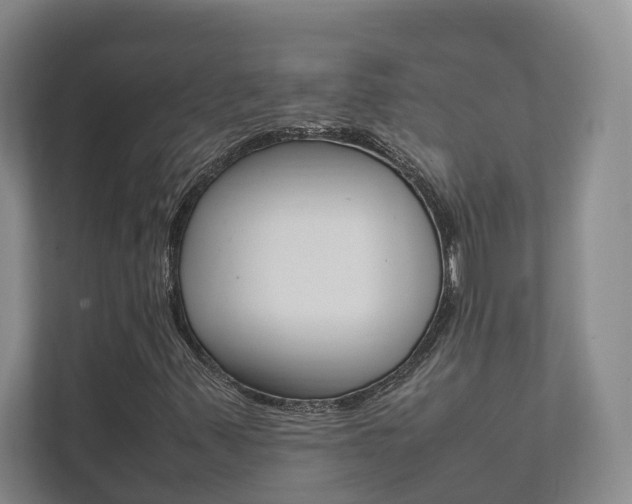 X0000111841347200907231031