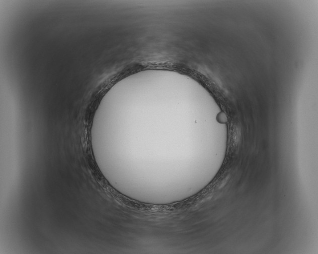 X0000111841350200907231031