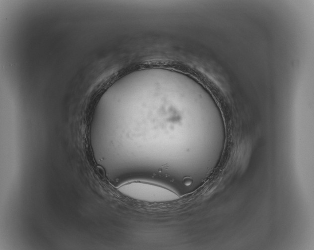 X0000111841351200907231031