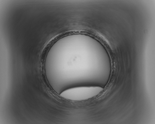 X0000111841352200907231031