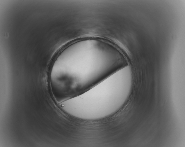 X0000111841356200907231031