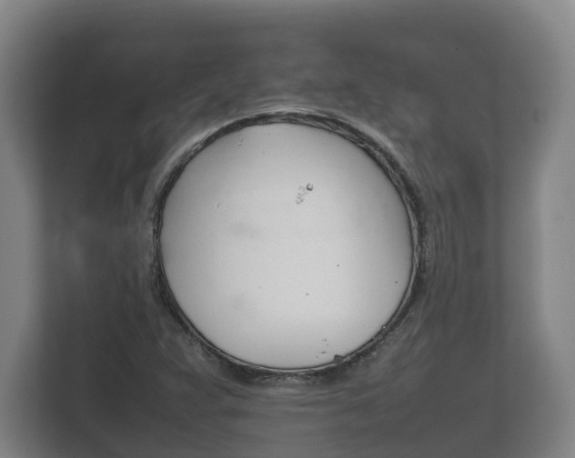 X0000111841359200907231031