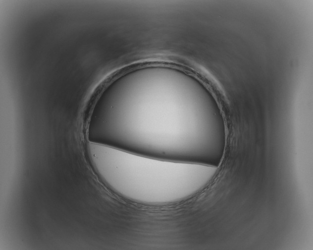 X0000111841360200907231031
