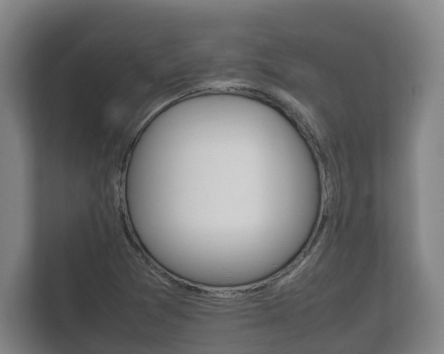 X0000111841361200907231031