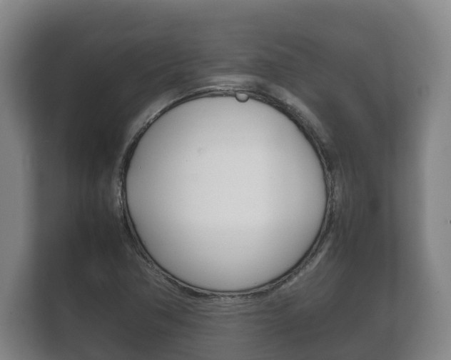 X0000111841362200907231031