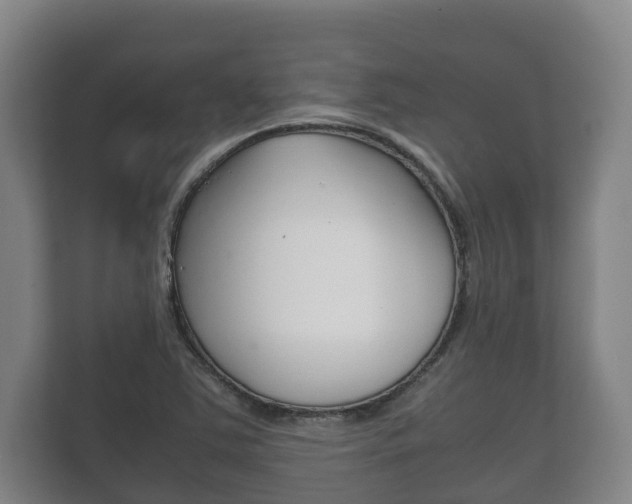 X0000111841363200907231031