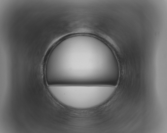 X0000111841364200907231031